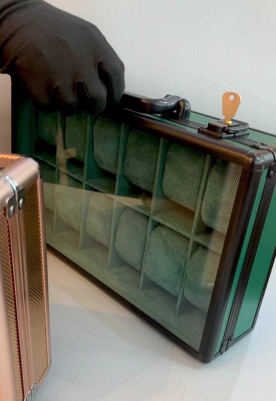 Luxury Watch Organizer Collection