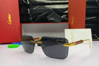Carrier Glasses